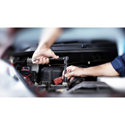 Monthly Token Support